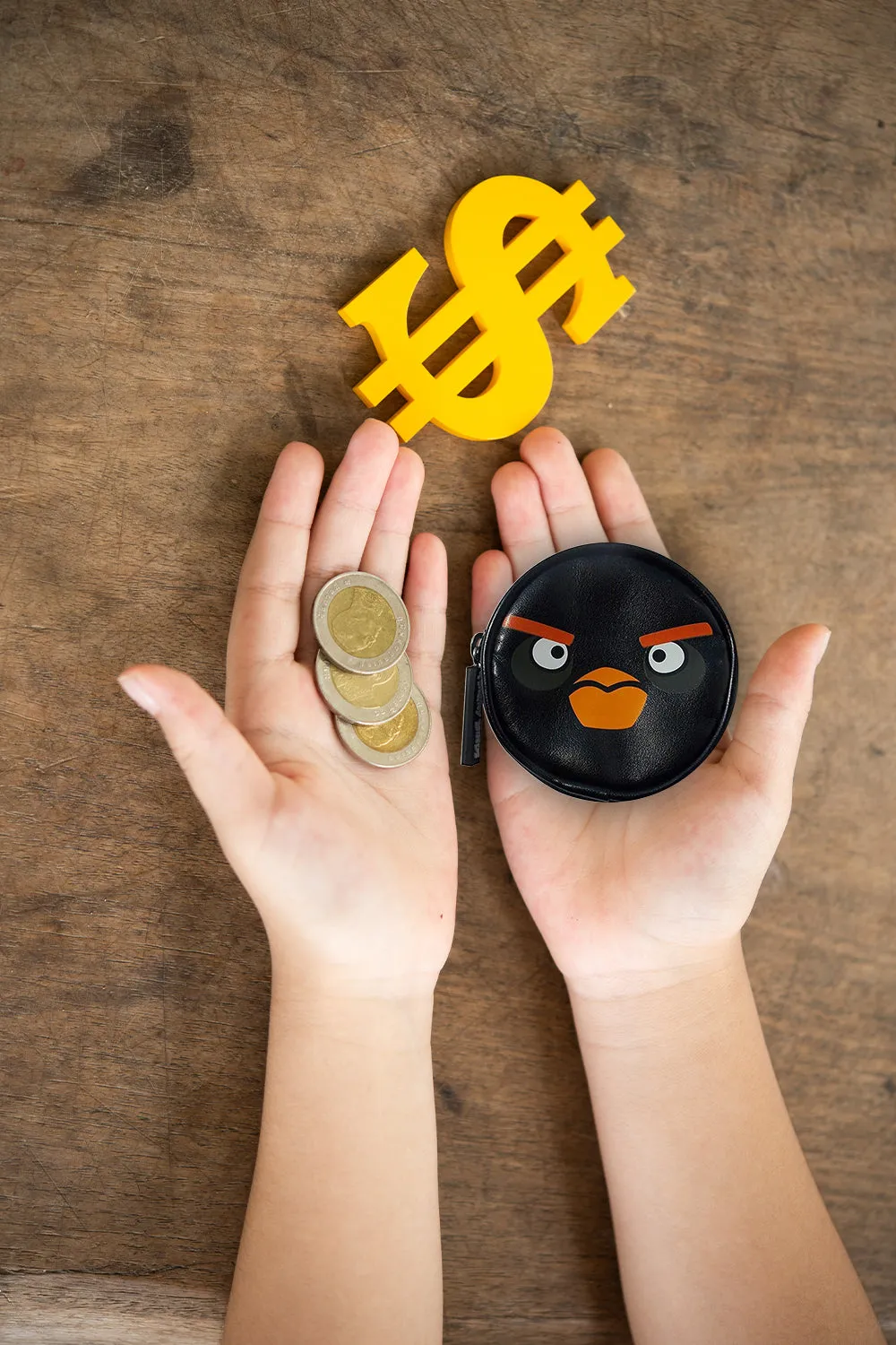 Angry Birds Black Coin Purse