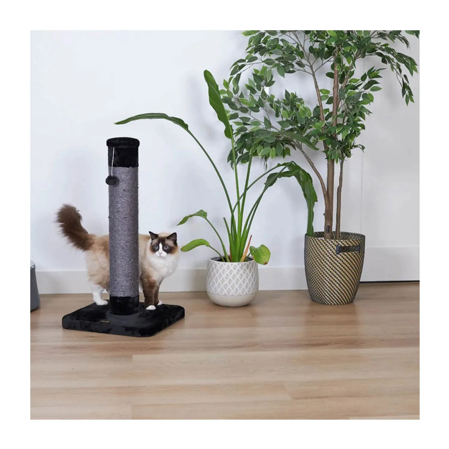 Kazoo Cat Scratch Post Medium 74cm