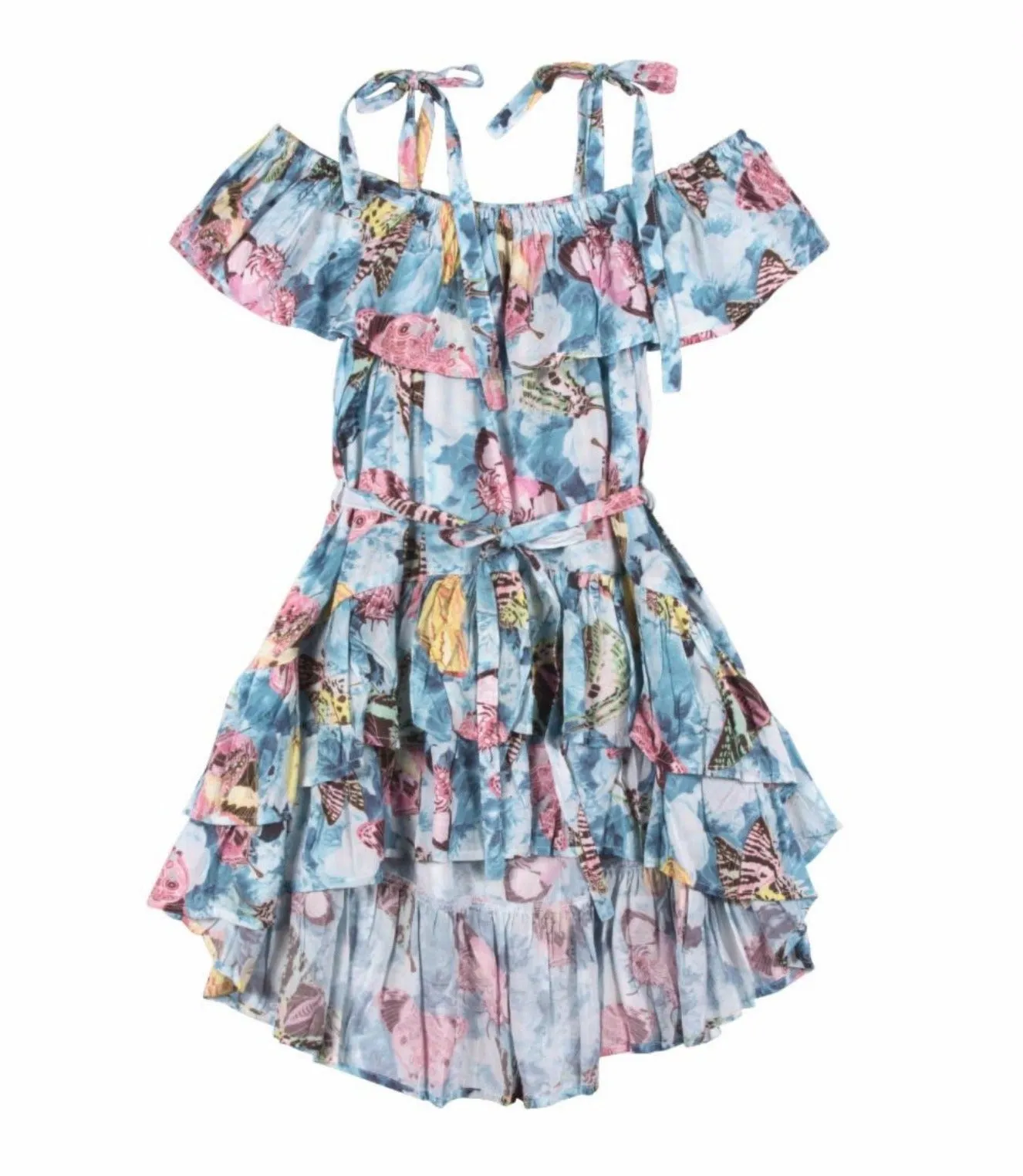 Paper Wings Vintage Butterfly Roses Girls Frilled Dress