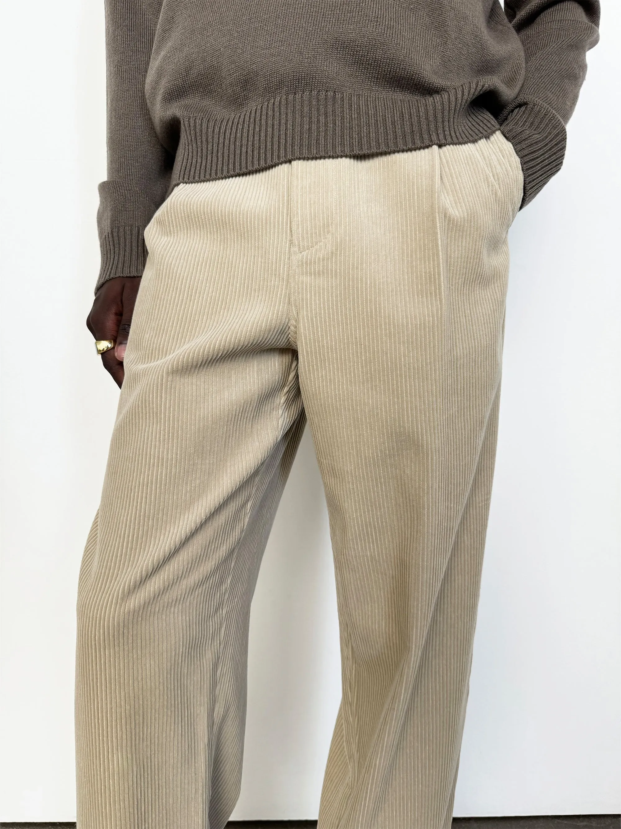 Tapered Pleated Trousers -- Dove